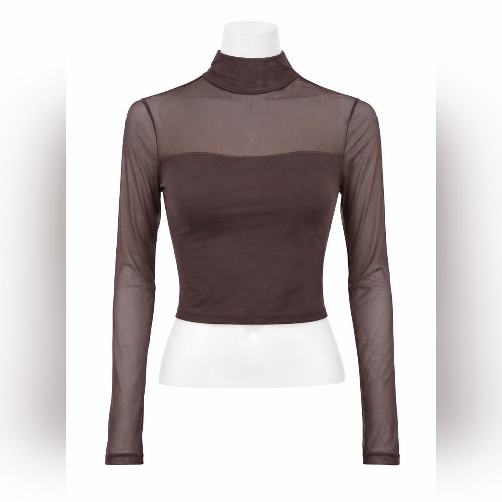 SUUKSESS Sheer Mesh Long Sleeve Crop Top 🤎 Mock Neck Going Out